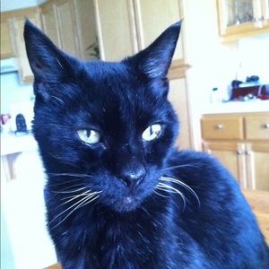 Meet your Posher, Laura